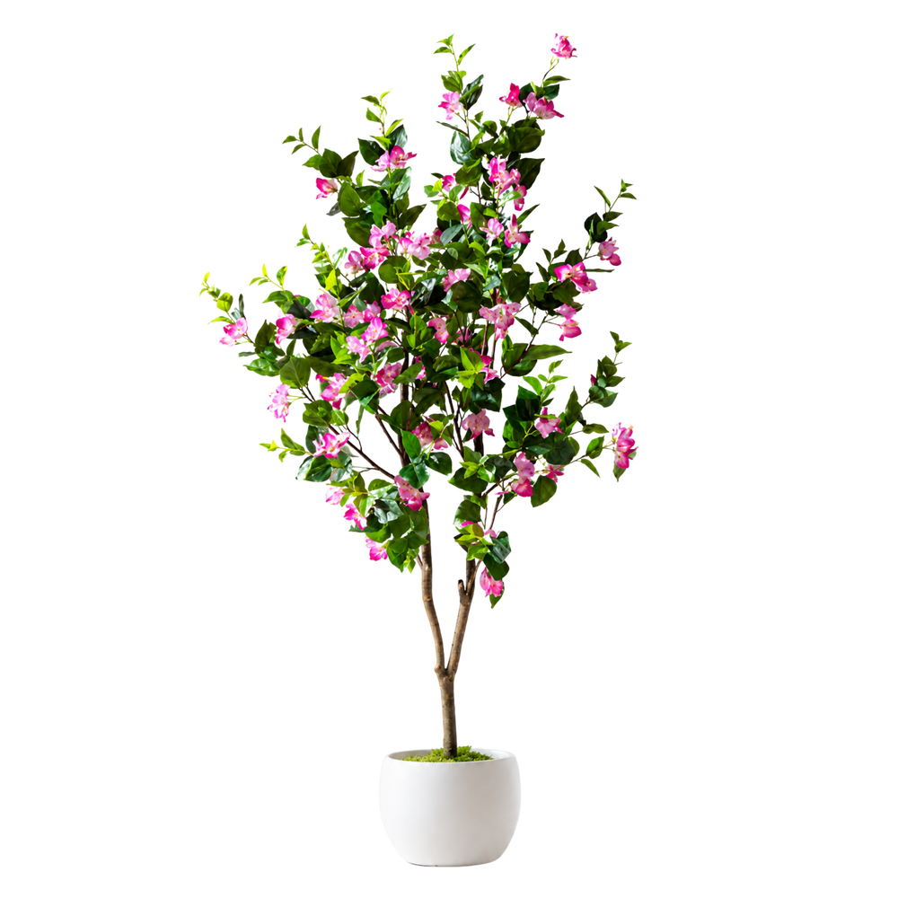 Bougainvillea Realista UV