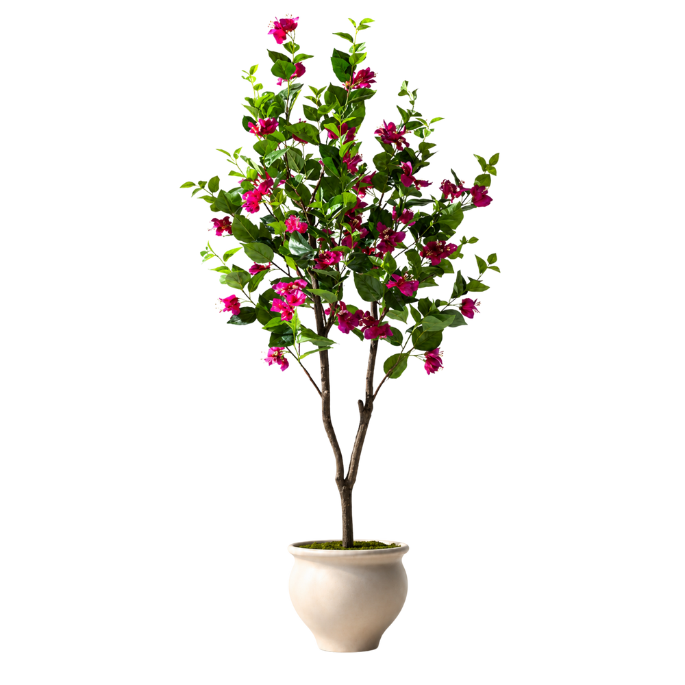 Bougainvillea Realista UV