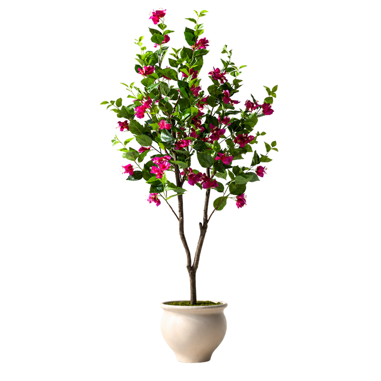 Bougainvillea Realista UV