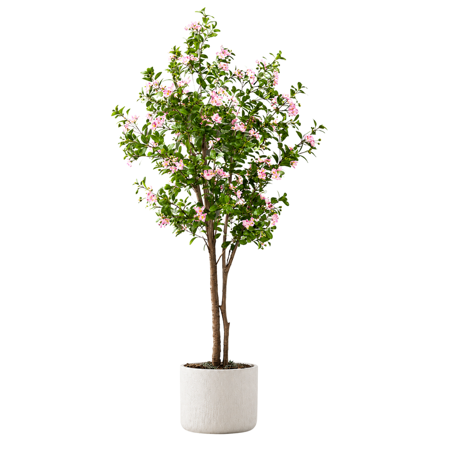 Myrtus Realista UV