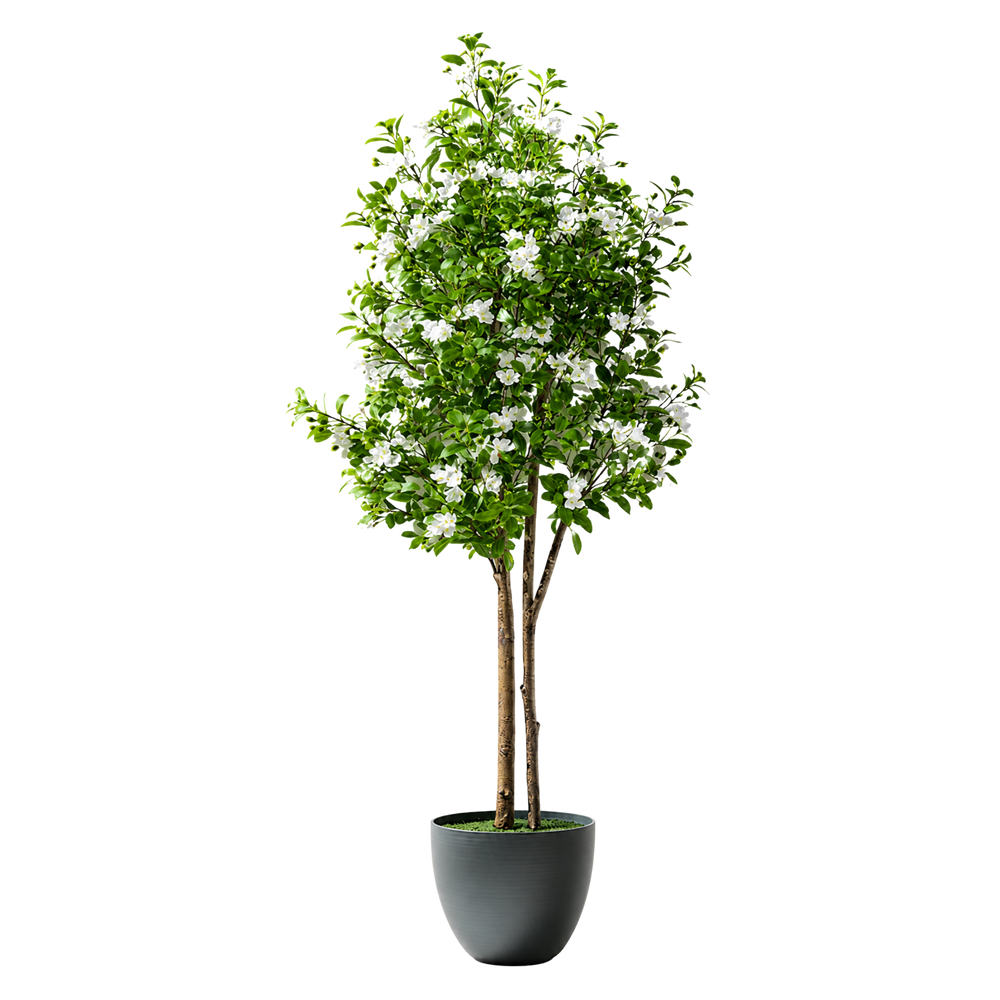 Myrtle Realista UV