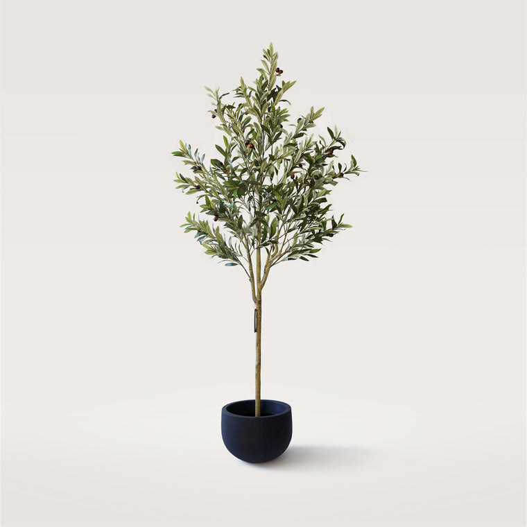 Olivo Realista UV