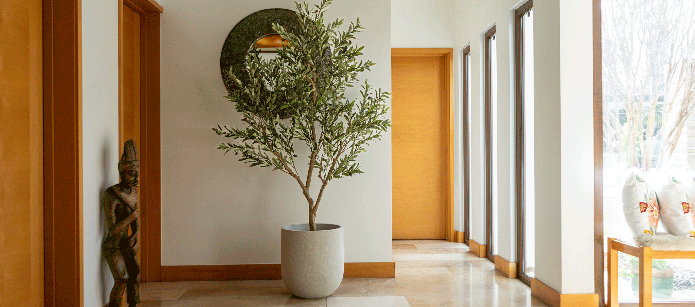 Plantas Aura Verde en interior