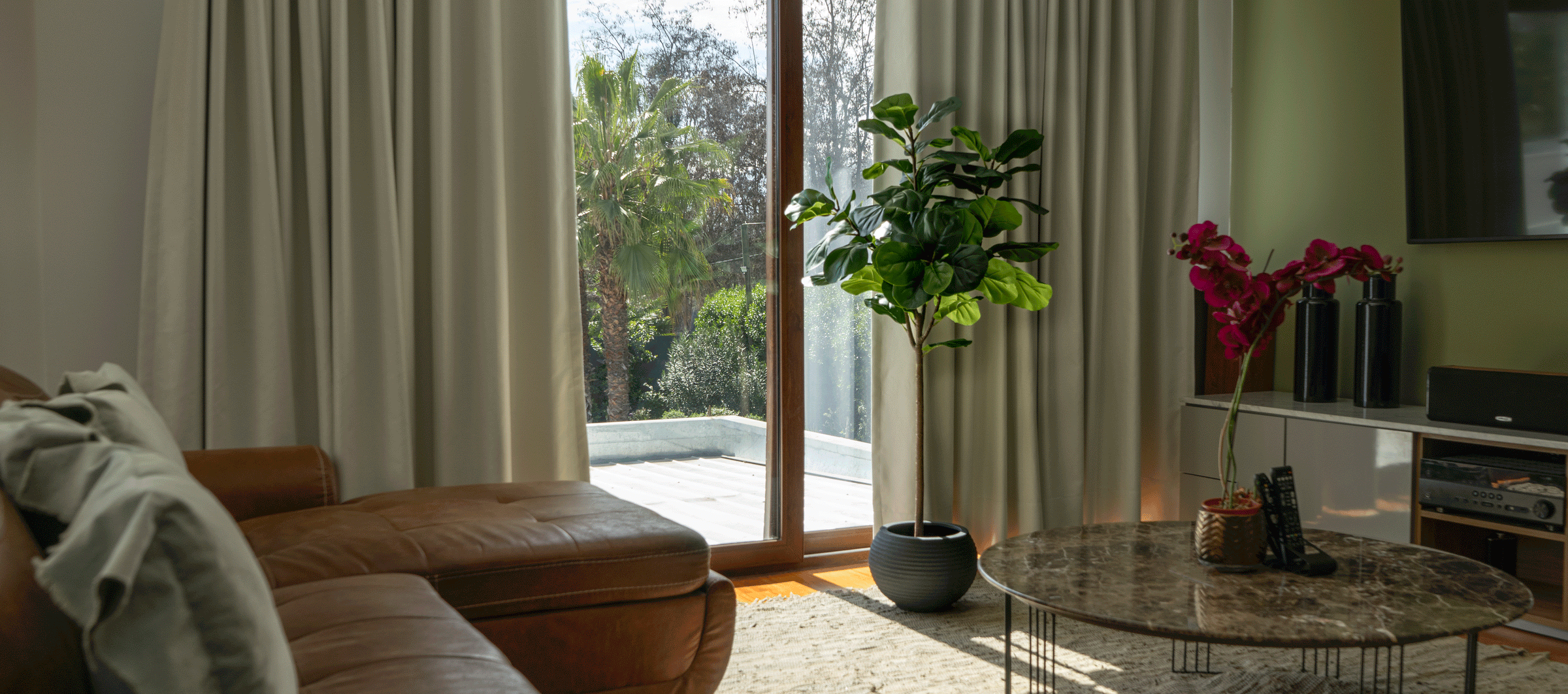 Plantas Aura Verde en interior