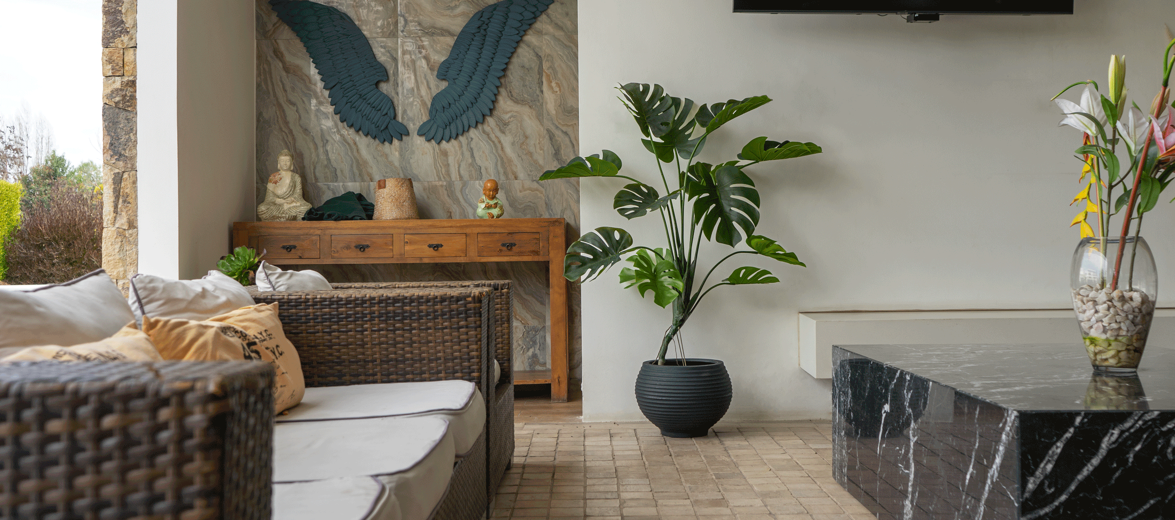 Plantas Aura Verde en interior