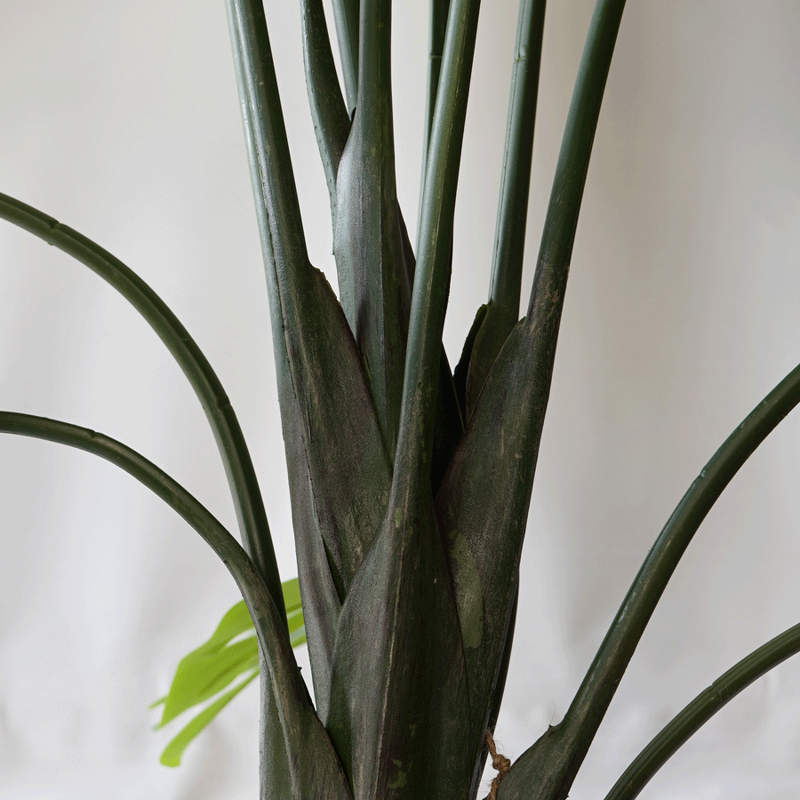 Monstera Realista UV